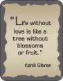 Kahlil Gibran Quote  Air Freshener